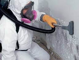 Why You Should Choose Our Mold Remediation Services in West Columbia, TX